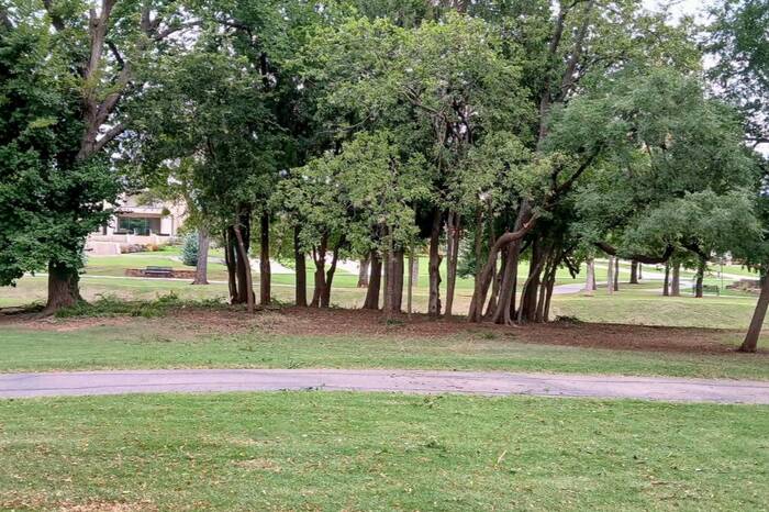 Completed residential landscaping project by TreeServicesOK in Oklahoma City