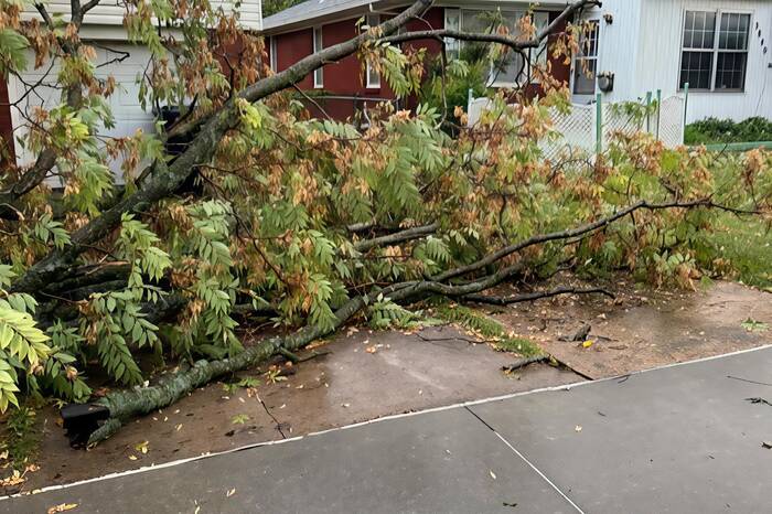 Emergency storm damage tree cleanup and debris removal in OKC